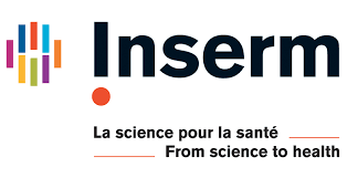 Logo Inserm